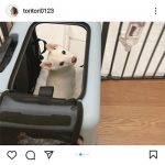 トリンドル玲奈、家族に「新メンバー」加入！妹・瑠奈との3ショットを公開