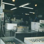 益若つばさ、車椅子で江ノ島満喫「透明感半端ない」「目が釘付け」と反響の声！