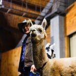 藤原さくら、マザー牧場での弾き語りライブ映像が期間限定公開