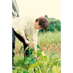 Nissy（西島隆弘）×ANAあきんど地域創生プロジェクト第2弾を発表！元祖タコライス発祥の地・沖縄県金武町を訪れる