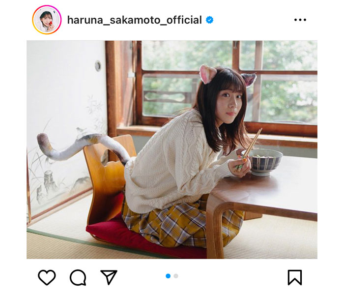 TEAM SHACHI・坂本遥奈、猫になりきりうどんを食べるポートレートにファン歓喜