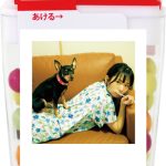 ナナランド・峰島こまきの写真集『ふるさと』、「オンラインくじ・Slash Gift」くじ販売決定