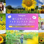 「北杜市明野サンフラワーフェス2023」40万本のひまわり、360度の大パノラマ、絶景「サンフェス」4年ぶりに本格開催！