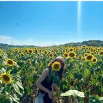 SKE48・青海ひな乃、肌見せ夏コーデで向日葵畑を堪能！「太陽のような笑顔が可愛い」