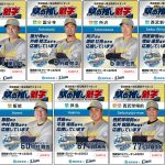 西武特急シリーズ 西武線1日フリーきっぷ