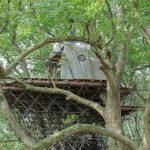 ＜リゾナーレ熱海＞熱海で絶景＆グルメの温泉旅行！無料遊びスポット満載！子連れで楽しめる週末リゾートホテル