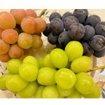 安めぐみ、約4ヵ月ぶり『さやさん』倉本清子との仲良し2ショット！