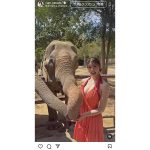 「どこ触ってるの？」阿部なつき、象と「ギリギリすぎる」触れ合いSHOT公開！