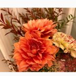 第2子妊娠中の安めぐみ、長女・うたちゃんが撮影したプライベートショット公開