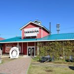 たまご専門店「TAMAGOYA」から秋の味覚をお届け！目の前で仕上げるパンケーキが新登場