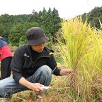 EXILEの橘ケンチ『油長酒造（奈良県）杉浦農園（奈良県）収穫祭』参加