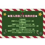 真島なおみ、冬の夜に映えるセクシーで可愛いクリスマスコスプレを披露！