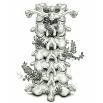 ヒグチアイ、「進撃の巨人」The Final Season完結編エンディングテーマ「いってらっしゃい」配信開始！