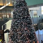 第2子妊娠中の安めぐみ、優しい笑顔で微笑んだロケオフショ披露